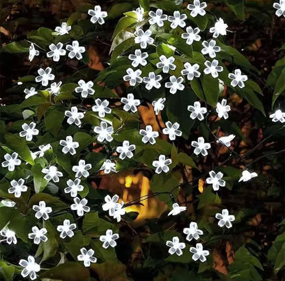 Guirlande_lumineuse_exterieur_ blanc_ froid 