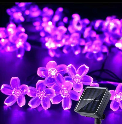 Guirlande_ lumineuse_ extérieur_ solaire_ violets 